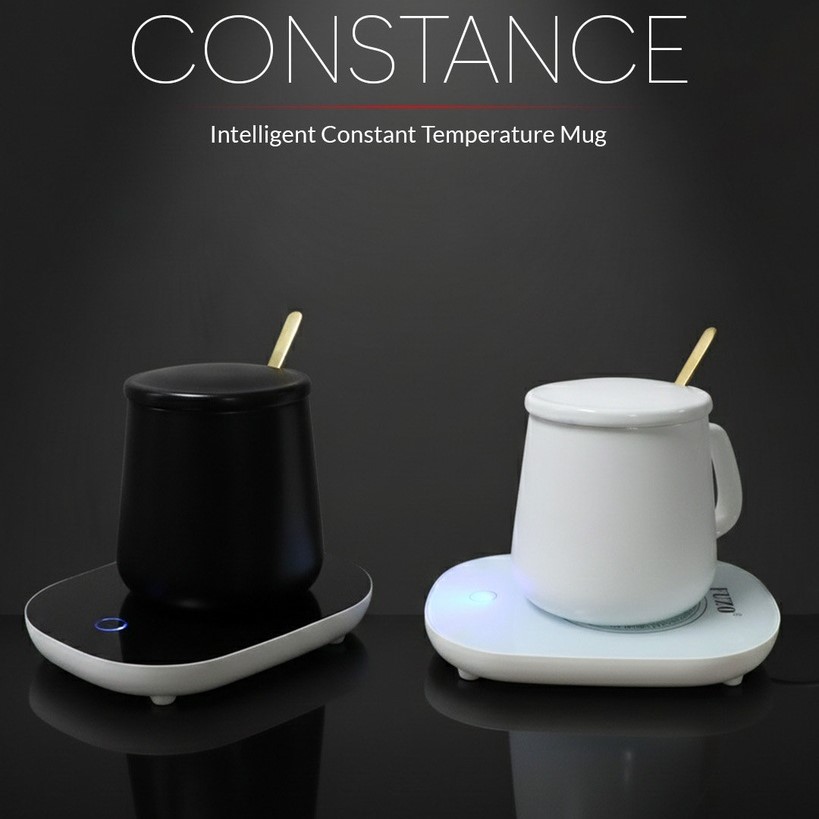 Electric Constant Temperature Heating Mug